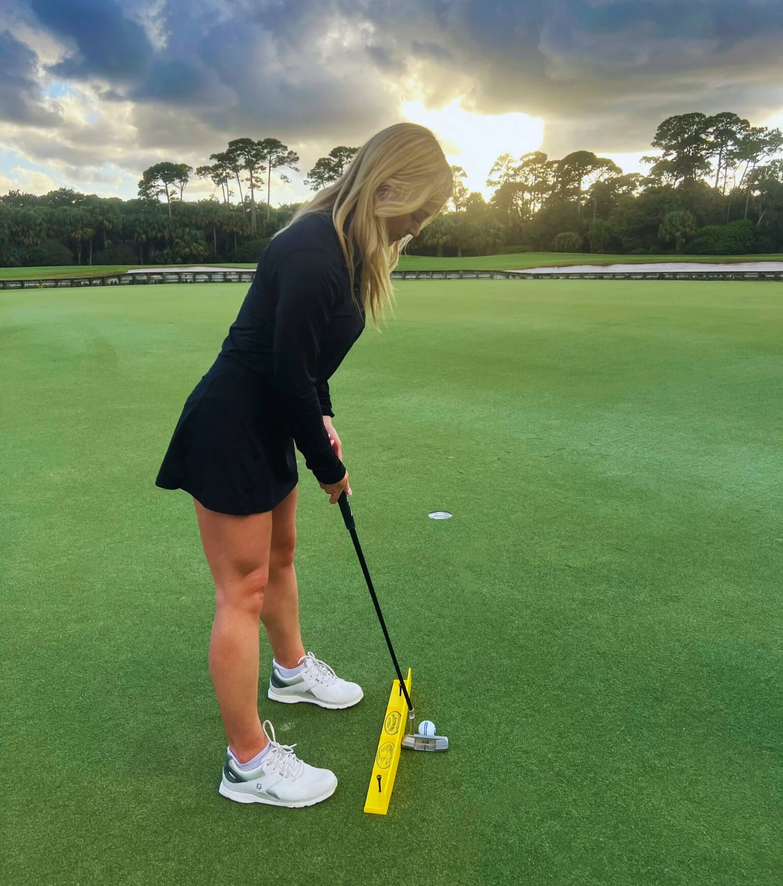 The Putting Arc T3 - Image 5
